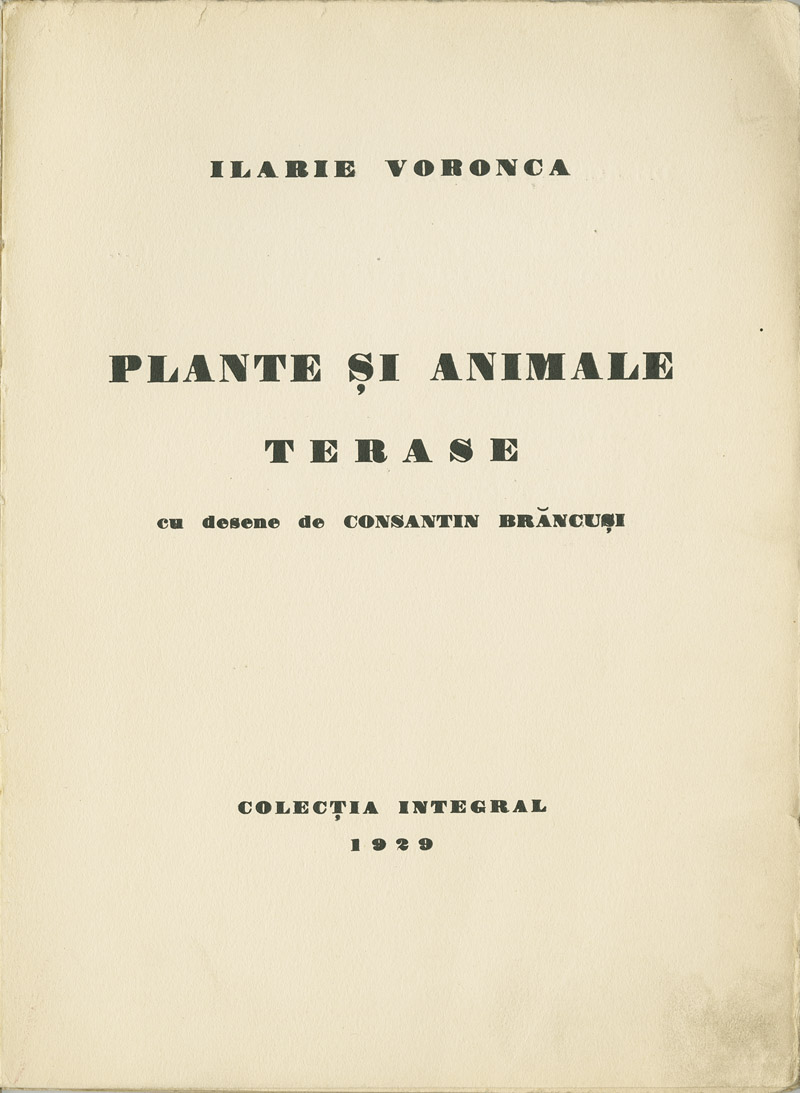 Voronca_PlanteS1_800.jpg